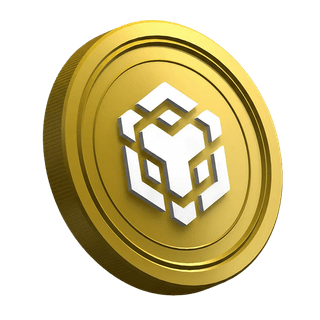 BNB coin from Binance on a beginner trader guide page